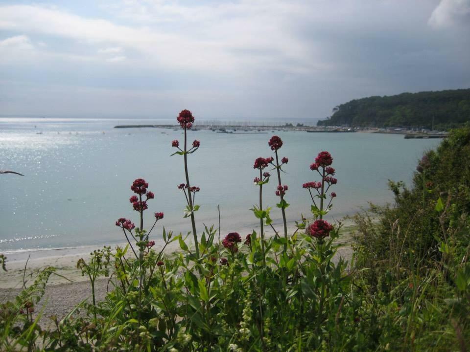 Cap Morgat Chez Jean Apartment Crozon Exterior photo