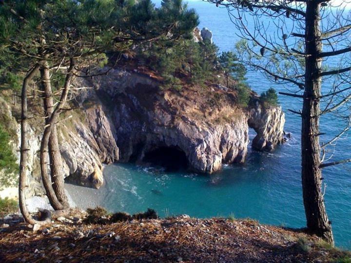 Cap Morgat Chez Jean Apartment Crozon Exterior photo